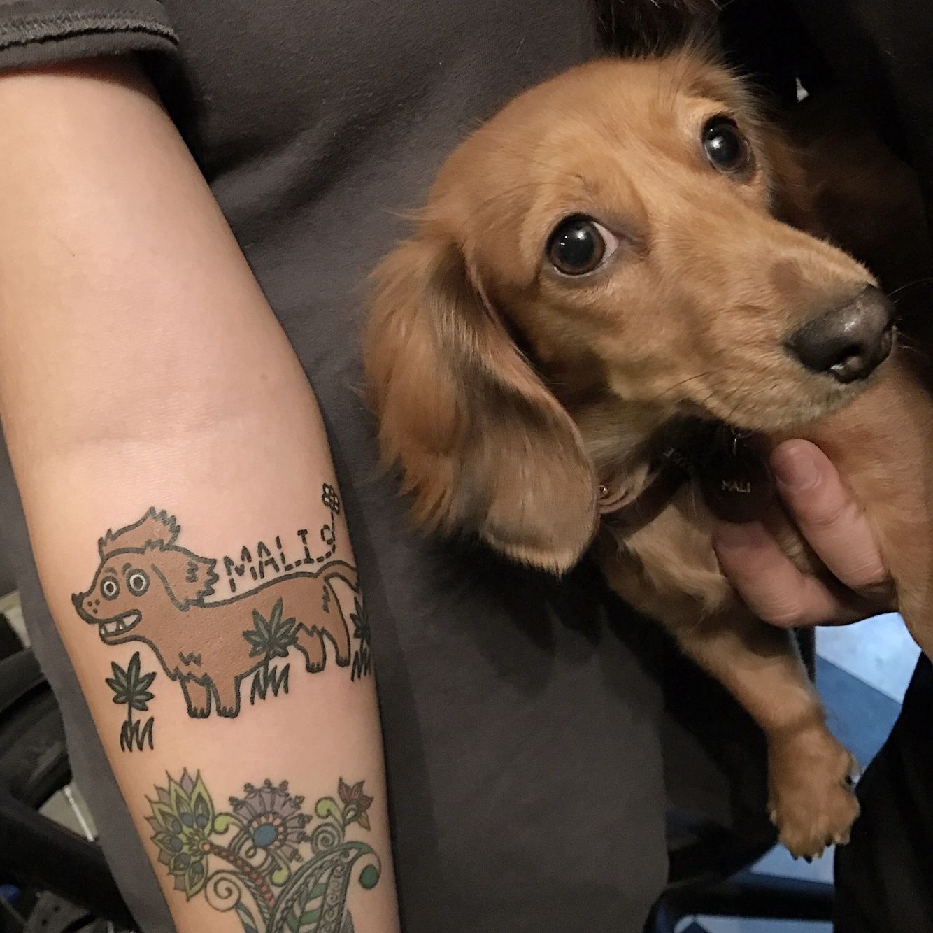 Cette tatoueuse se distingue par son approche unique de la représentation d’animaux et de jouets (30 photos).