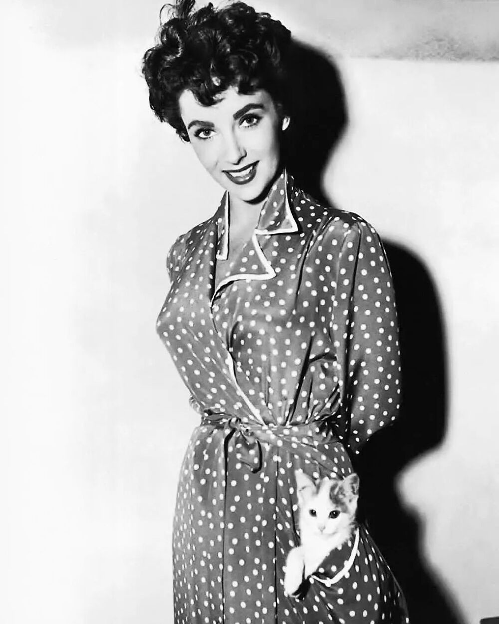 diva des chats, l’actrice britannico-américaine elizabeth taylor « donnait un tour » à un chaton dans la poche de sa robe pendant le tournage du film la fille qui avait tout, en 1953.