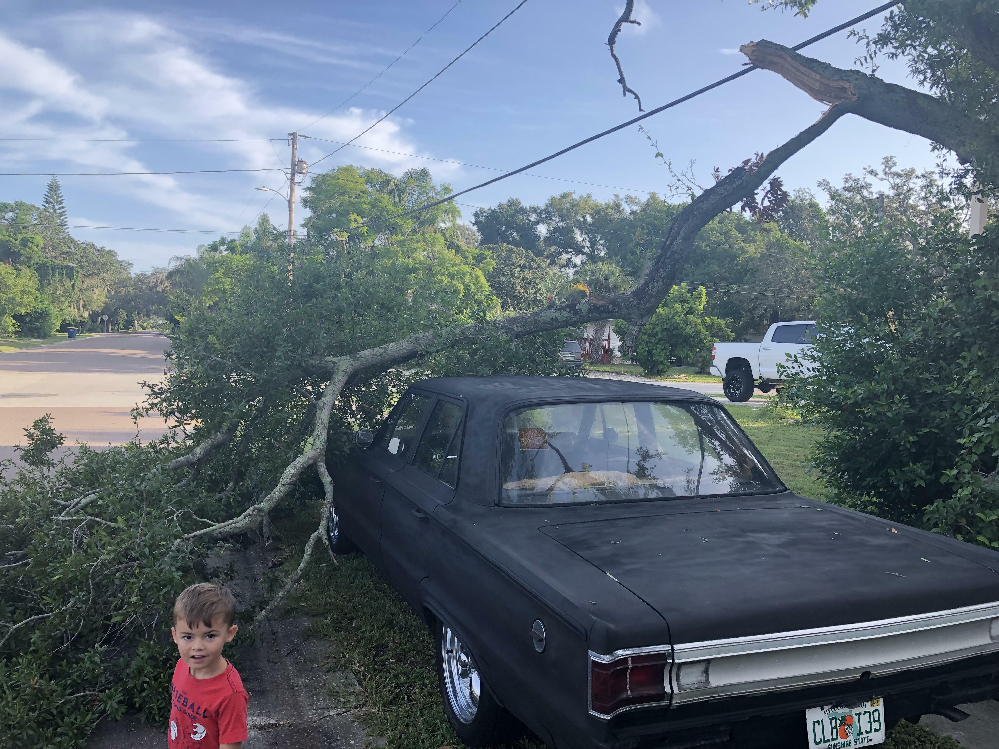 Un arbre a essayé de tuer ma voiture. Il a survécu sans une égratignure (1967 plymouth belvedere)