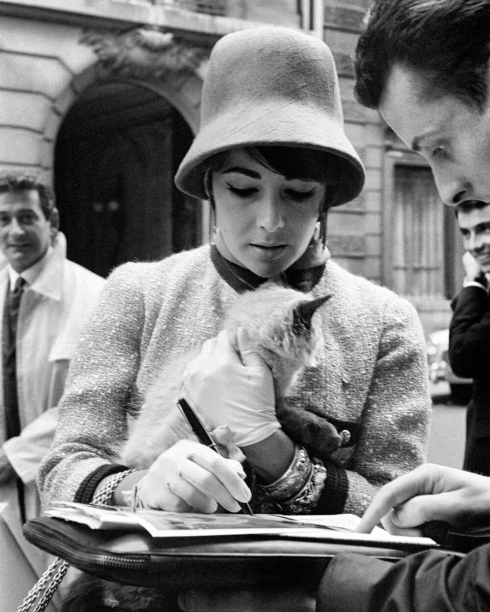 Habituée à l’attention des fans, l’actrice anglo-américaine elizabeth taylor a caressé son chaton tout en distribuant des autographes, 1961.