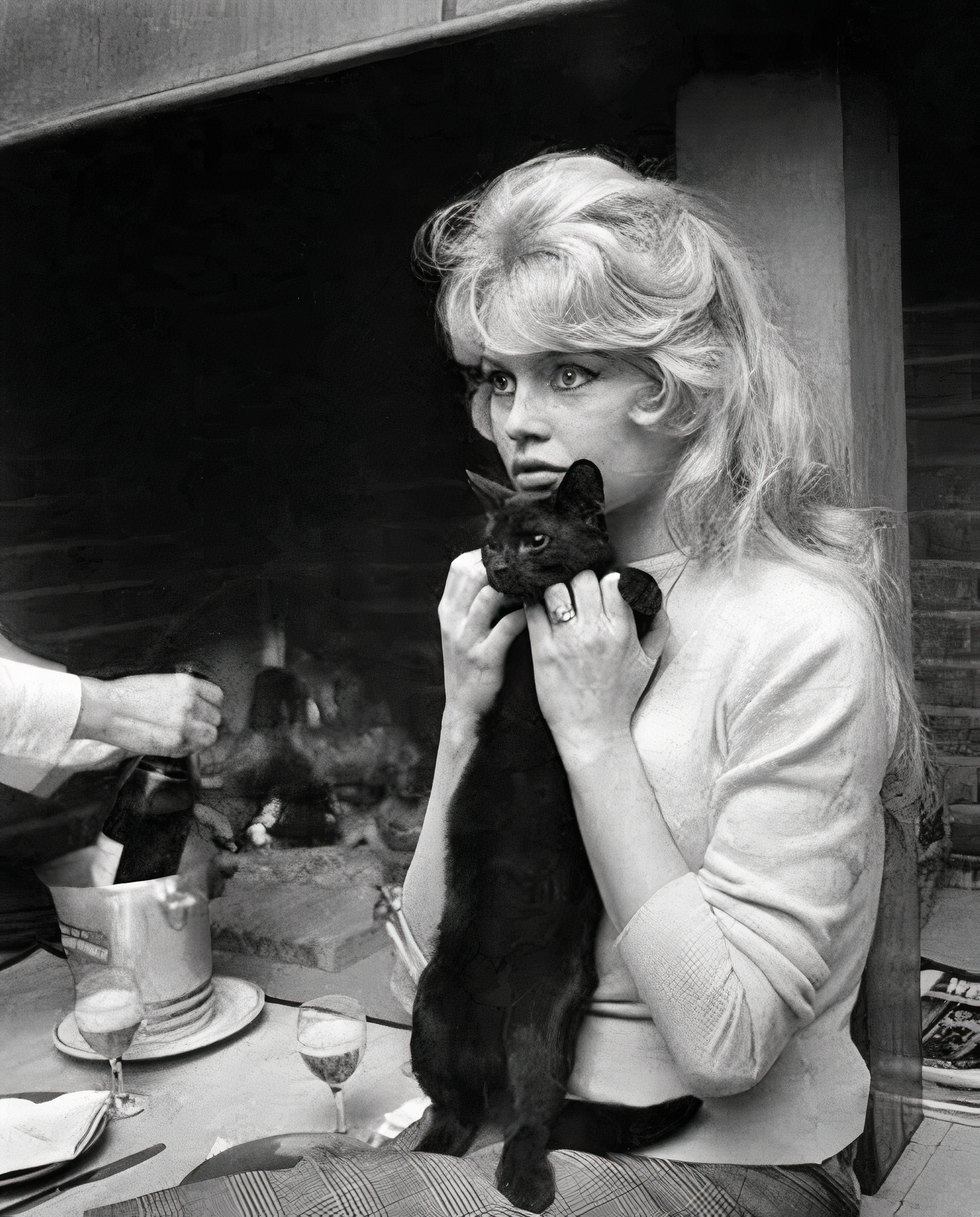 L’actrice et militante française Brigitte Bardot sur la photo prise en 1959, en France.