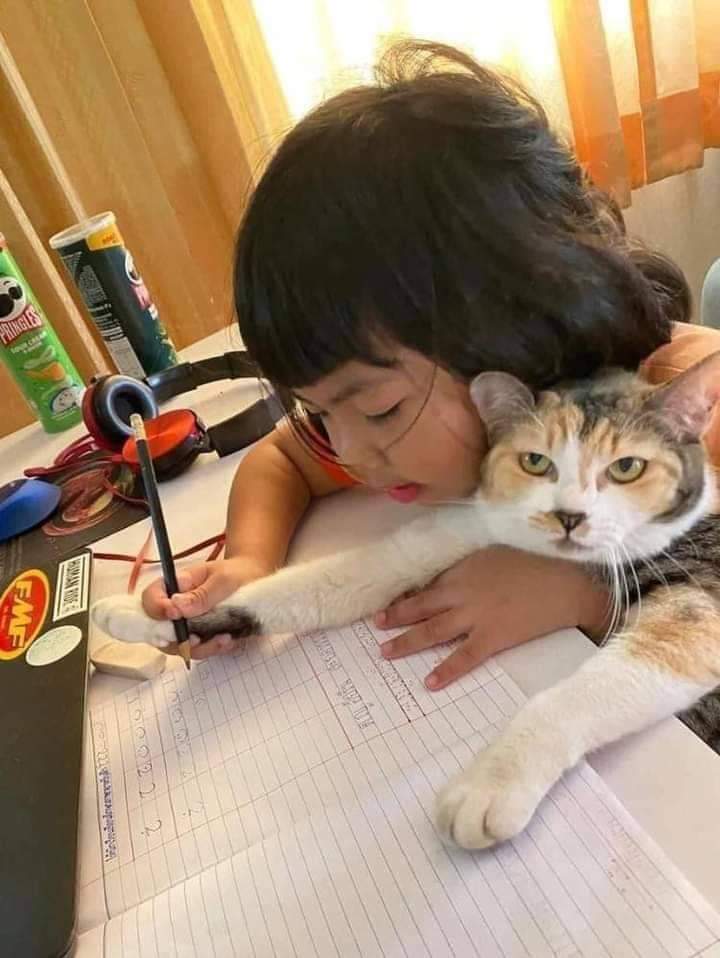 une fille qui apprend à son chat à écrire