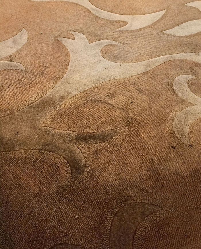 la moquette de mon hôtel de 250 $ par nuit à disneyland