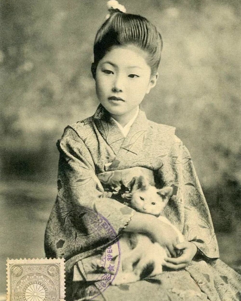 Au pays du soleil levant, les félins étaient déjà les meilleurs amis des filles au siècle dernier, plus précisément en 1907, l’année de ce record.
