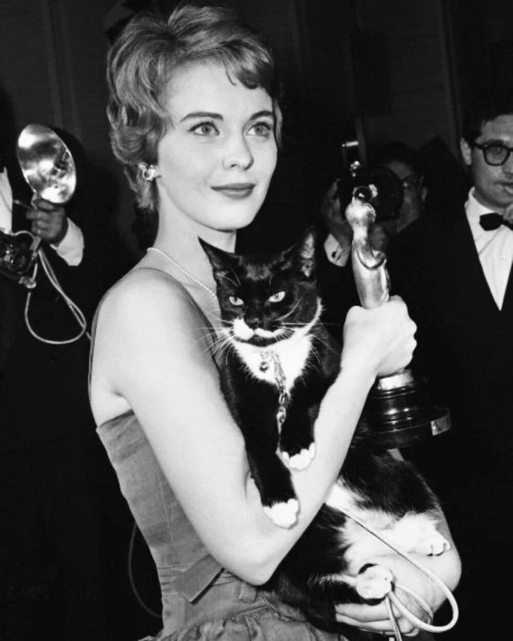 égérie du cinéma français, l’actrice américaine jean seberg a tenu à amener son chat à une cérémonie de remise de prix. la photo a été prise par le photographe italien gino begotti dans les années 1960 dans la commune de cortina d’ampezzo, en italie.