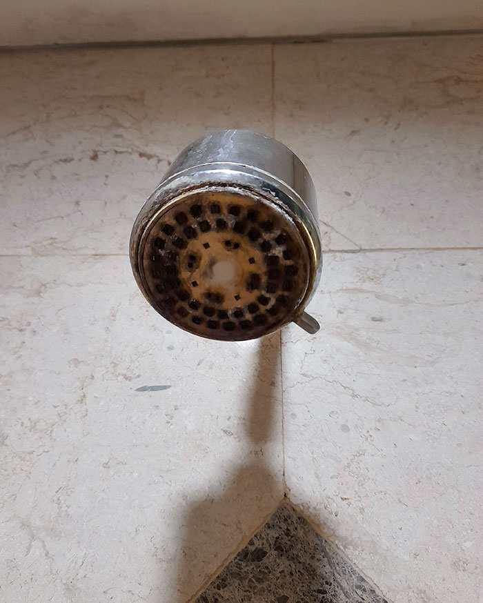 le pommeau de douche d’un hôtel 4 étoiles