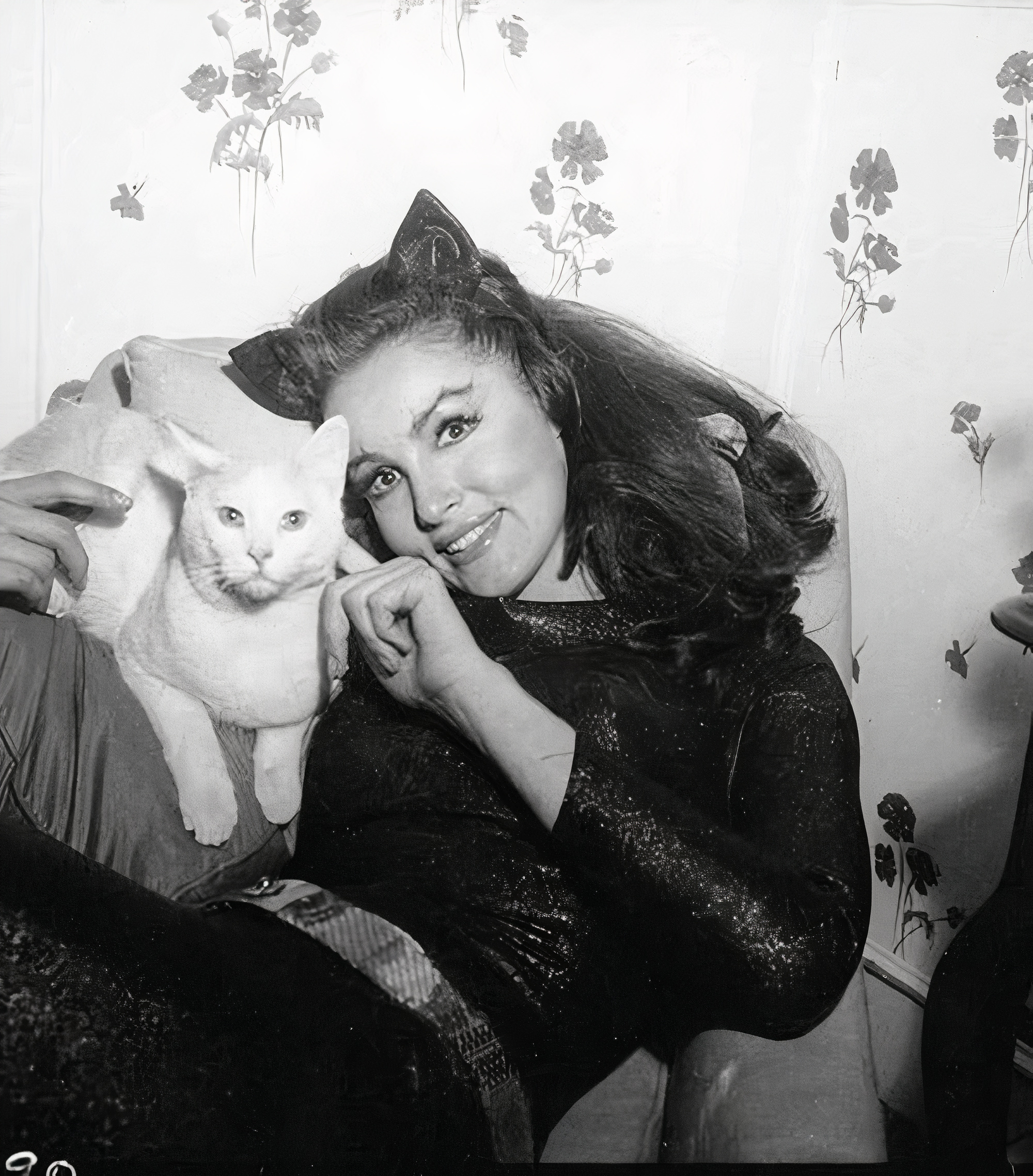 pour la promotion de la série télévisée batman (1966 – 1968), l’actrice américaine julie newmar a posé avec un magnifique félin, incarnant catwoman, son personnage dans la série.