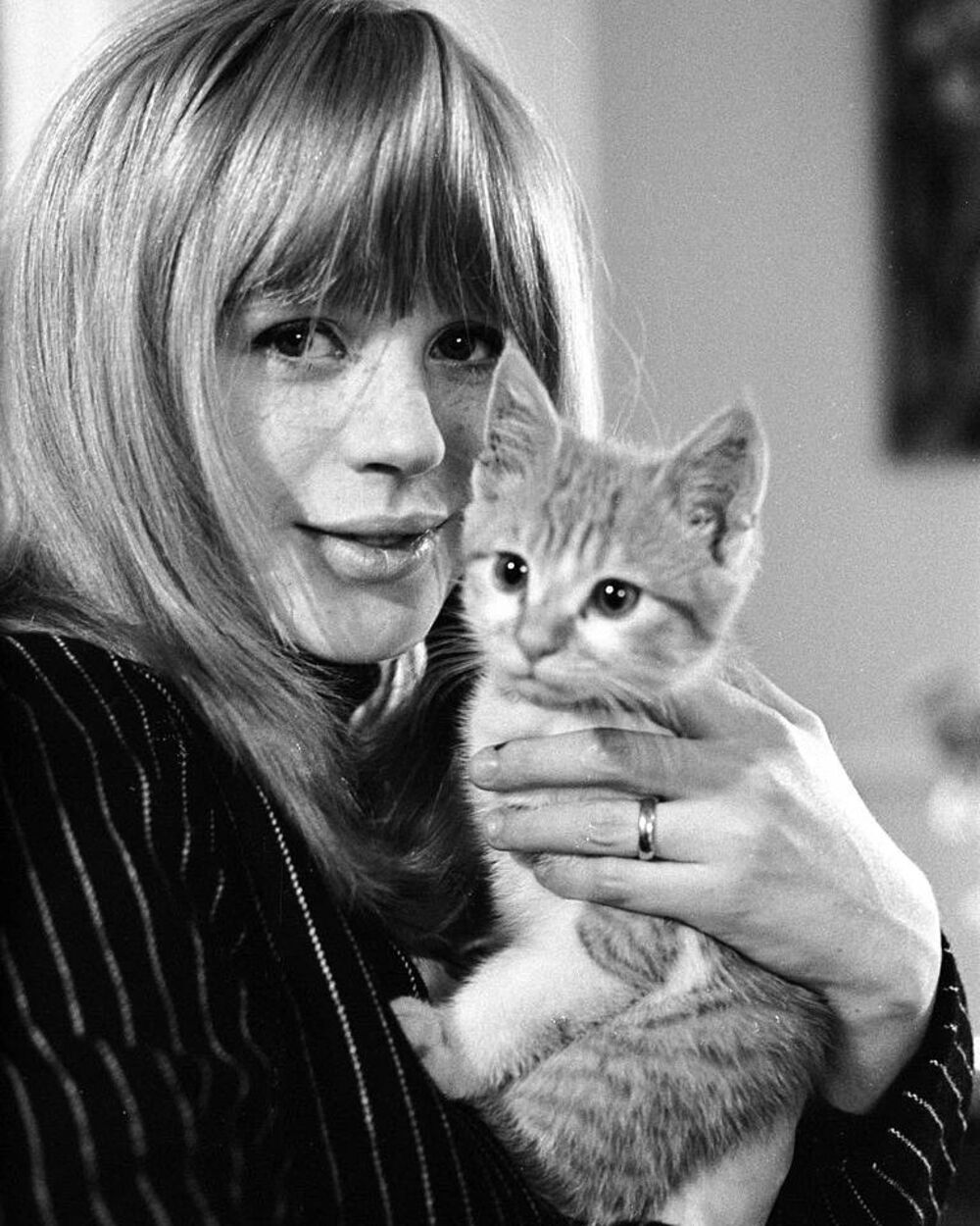 la chanteuse et actrice britannique marianne faithfull avec un jeune chaton en 1966