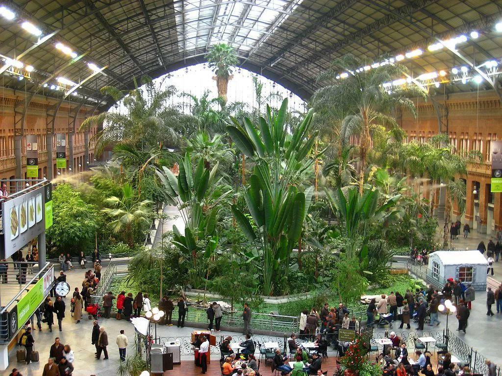 jardin tropical d’atocha à madrid, espagne. le bâtiment était autrefois l’ancienne gare avant que le centre de transport ne soit agrandi pour inclure les liaisons de trains à grande vitesse.