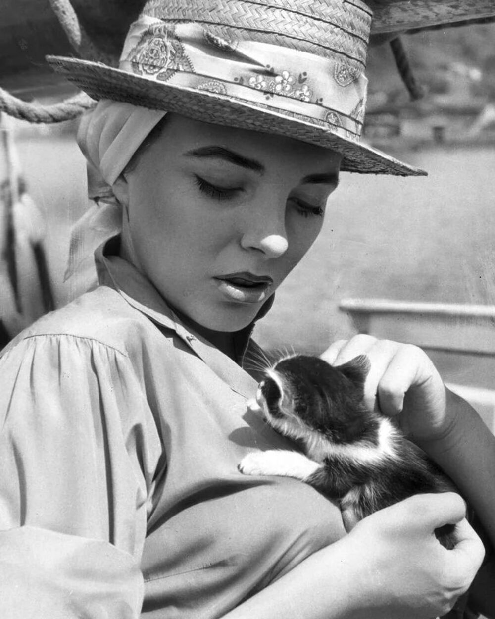 Lors d’une excursion en bateau en 1957, l’actrice britannique Joan Collins a soigneusement porté et caressé ce chaton super mignon.
