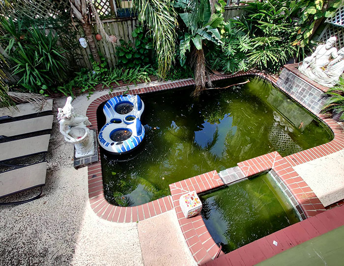il y a plusieurs semaines, j’ai fait un voyage à la nouvelle-orléans, et notre hôte airbnb ne nous a pas dit que la piscine était inutilisable et que les climatiseurs étaient aussi en panne.