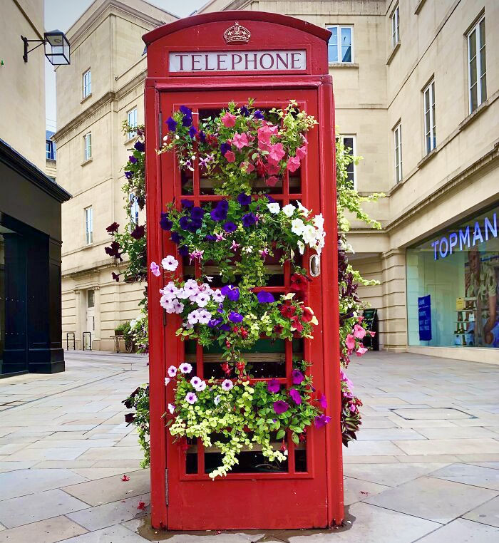Une vieille cabine téléphonique britannique qui a été déclassée de l’usage public. Celle-ci, à Bath, a été transformée en lit de fleurs.