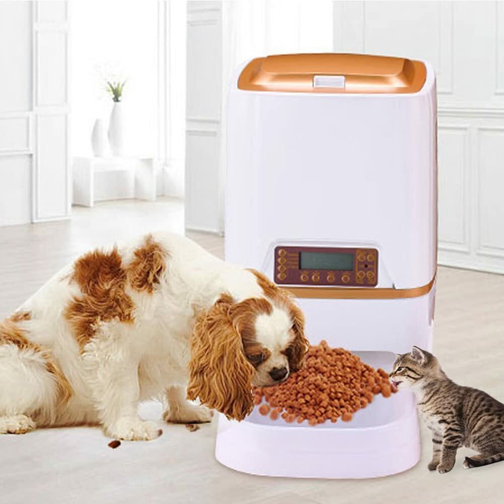 distributeur automatique d’aliments pour animaux