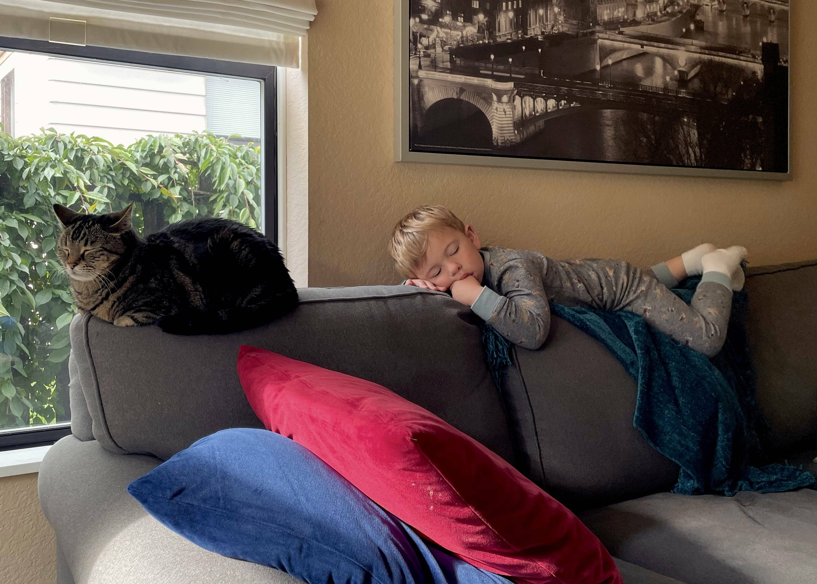My Son Has Learned A Lot From His Babysitter