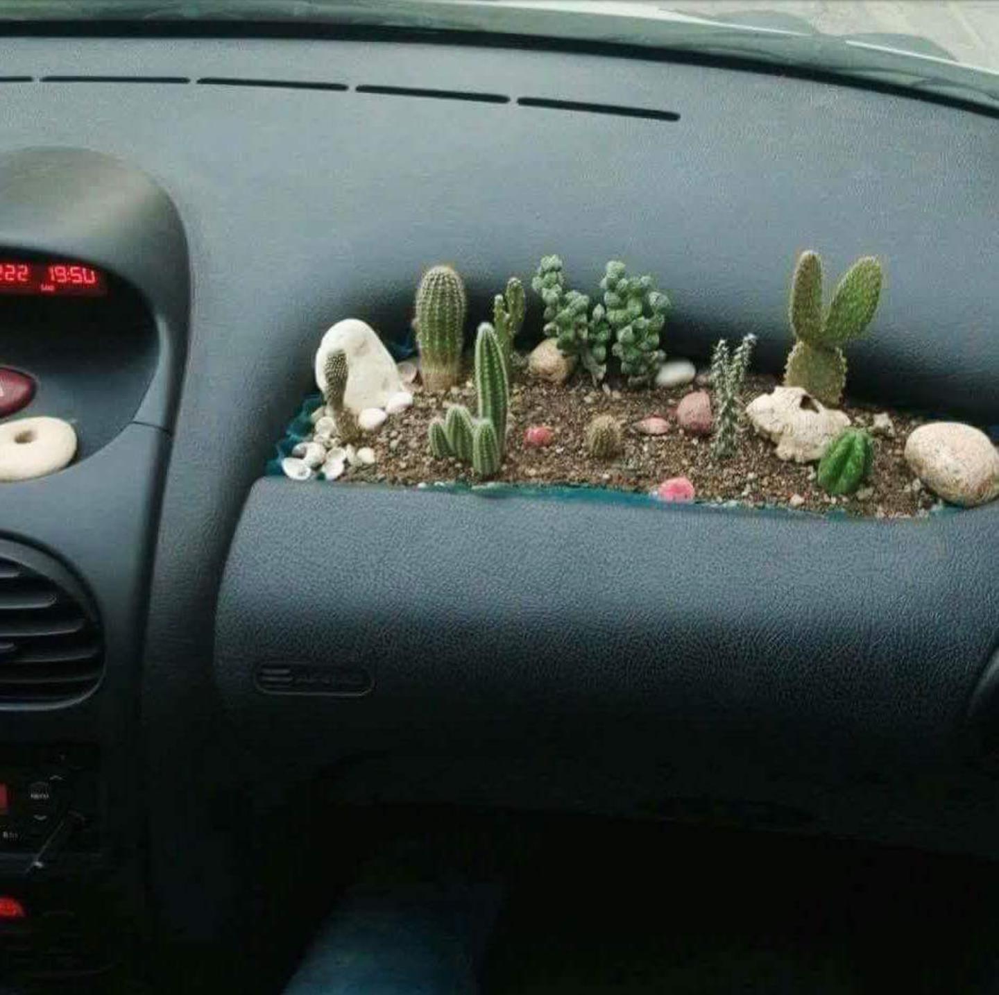 Tout va bien jusqu’à ce que l’airbag fonctionne mal à cause de l’humidité et que ton passager se prenne un cactus dans le visage à 300 mph.