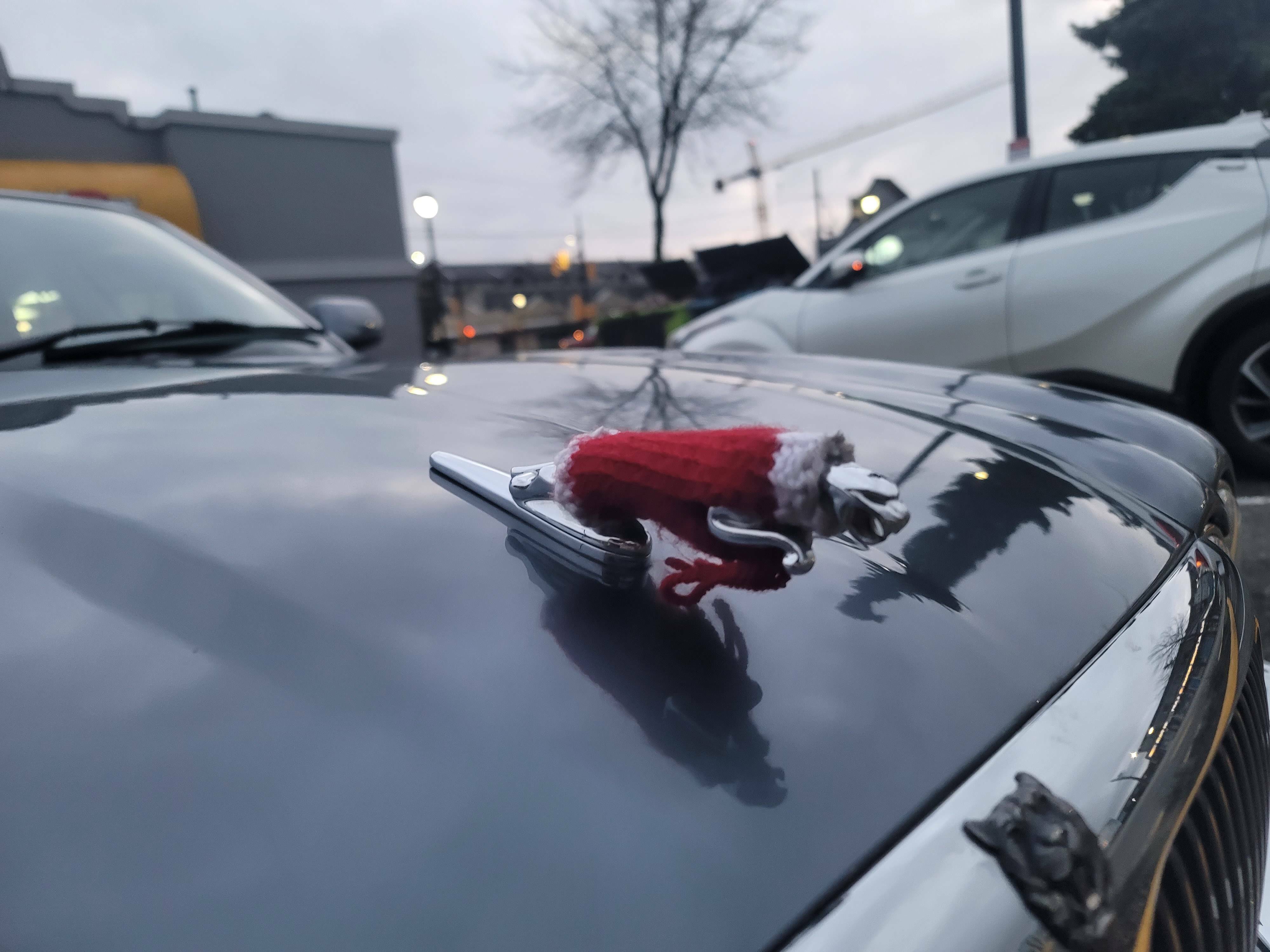 quelqu'un a tricoté un pull-over pour l'emblème de sa voiture
