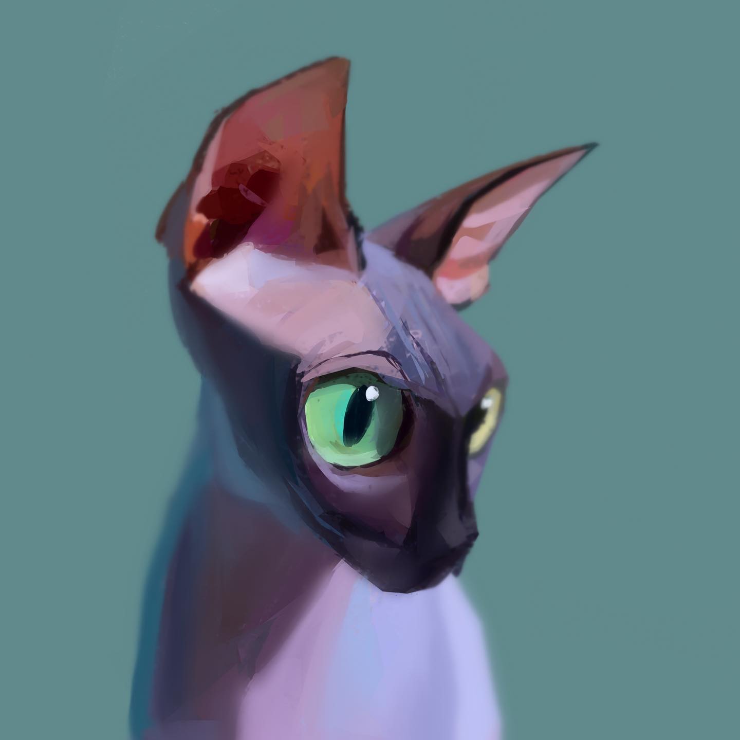 Artist Makes Animals Caricatures That Capture Their True Essence (71 Pics)