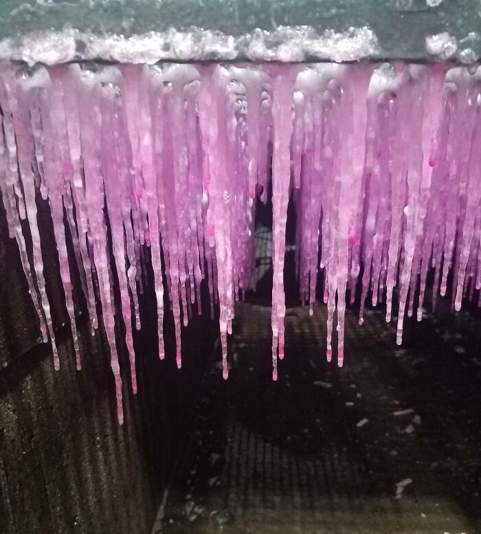 des stalactites roses sous la grille d’une station de lavage où je travaille