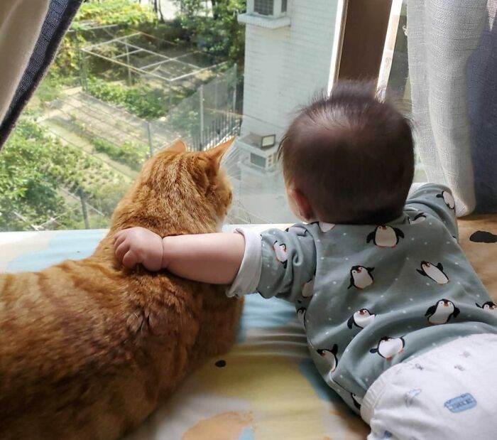 Watching The Scenery Together