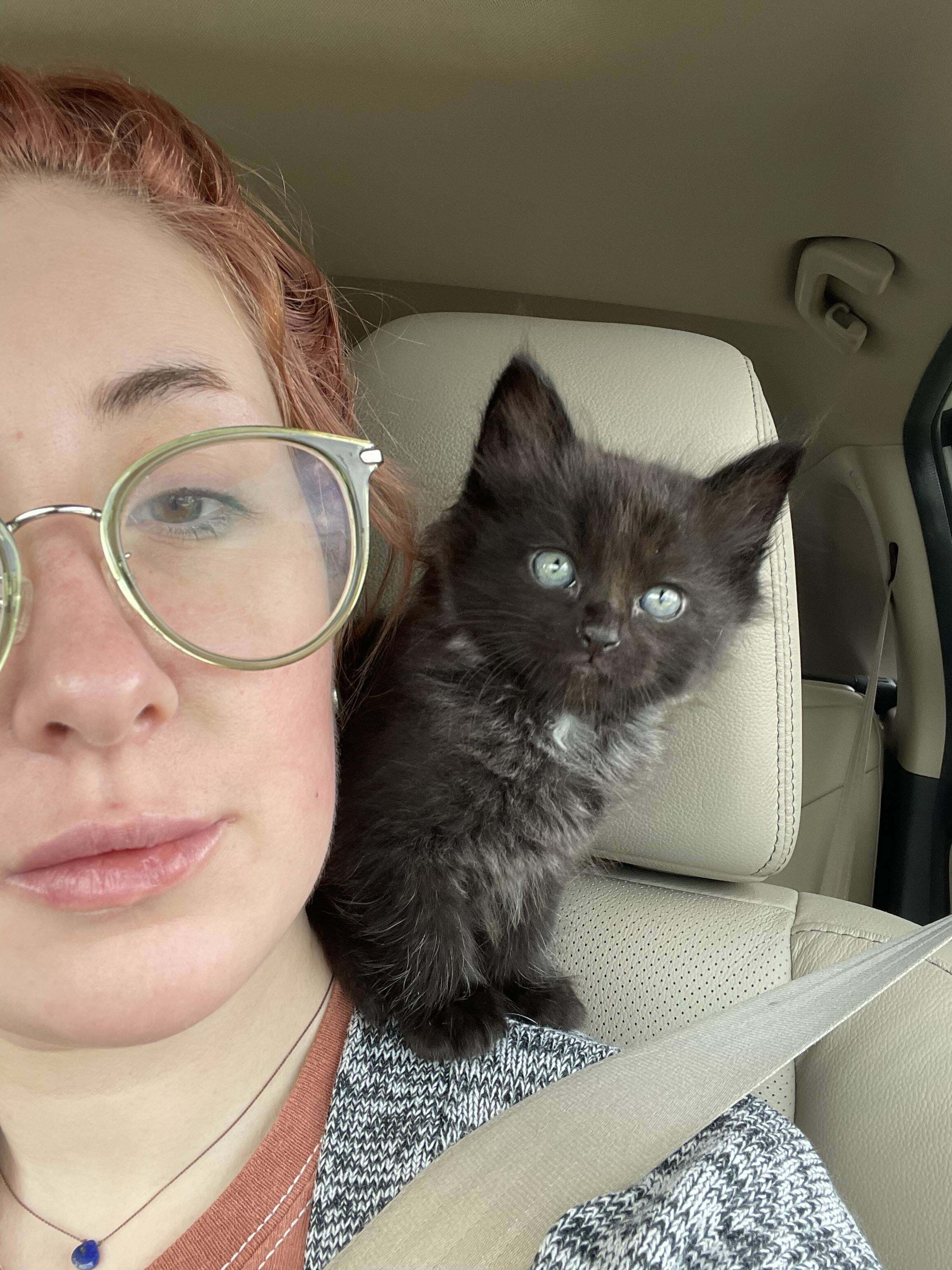 Simon Was The Runt, And Nobody Wanted Him. I Asked Around Trying To Get Adopted… And Then Like 2 Hours Later Just Decided To Adopt Him Myself