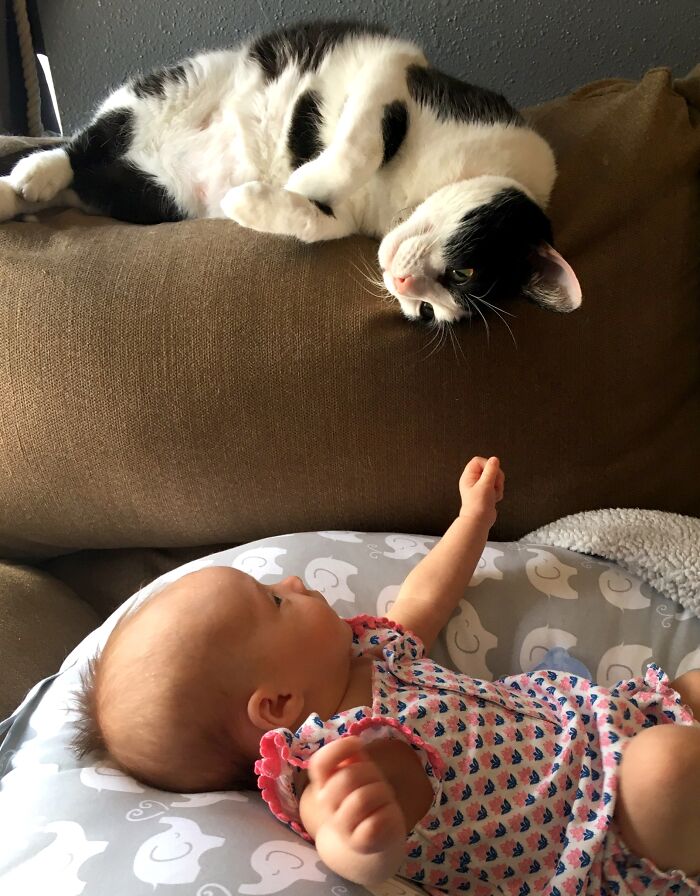 I Think They’re Gonna Be Friends