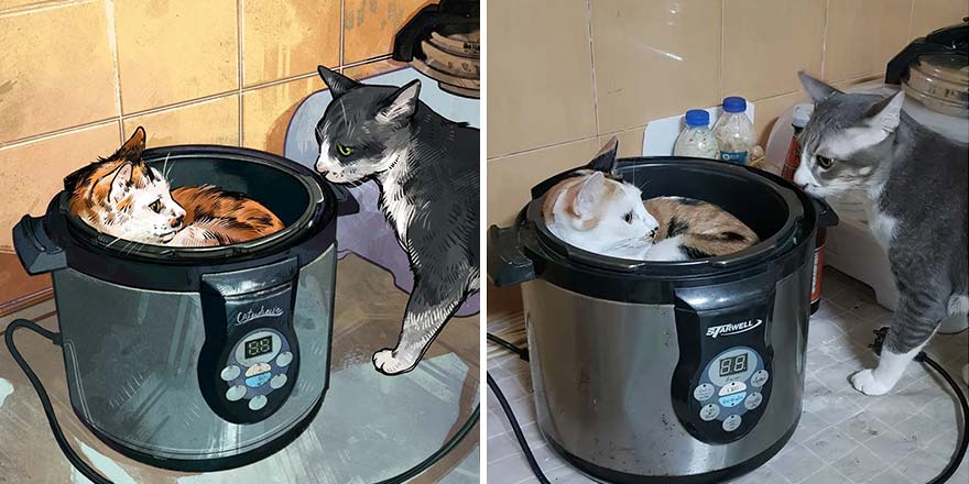 32 photos virales de chats illustrées par cet artiste (nouvelles photos)