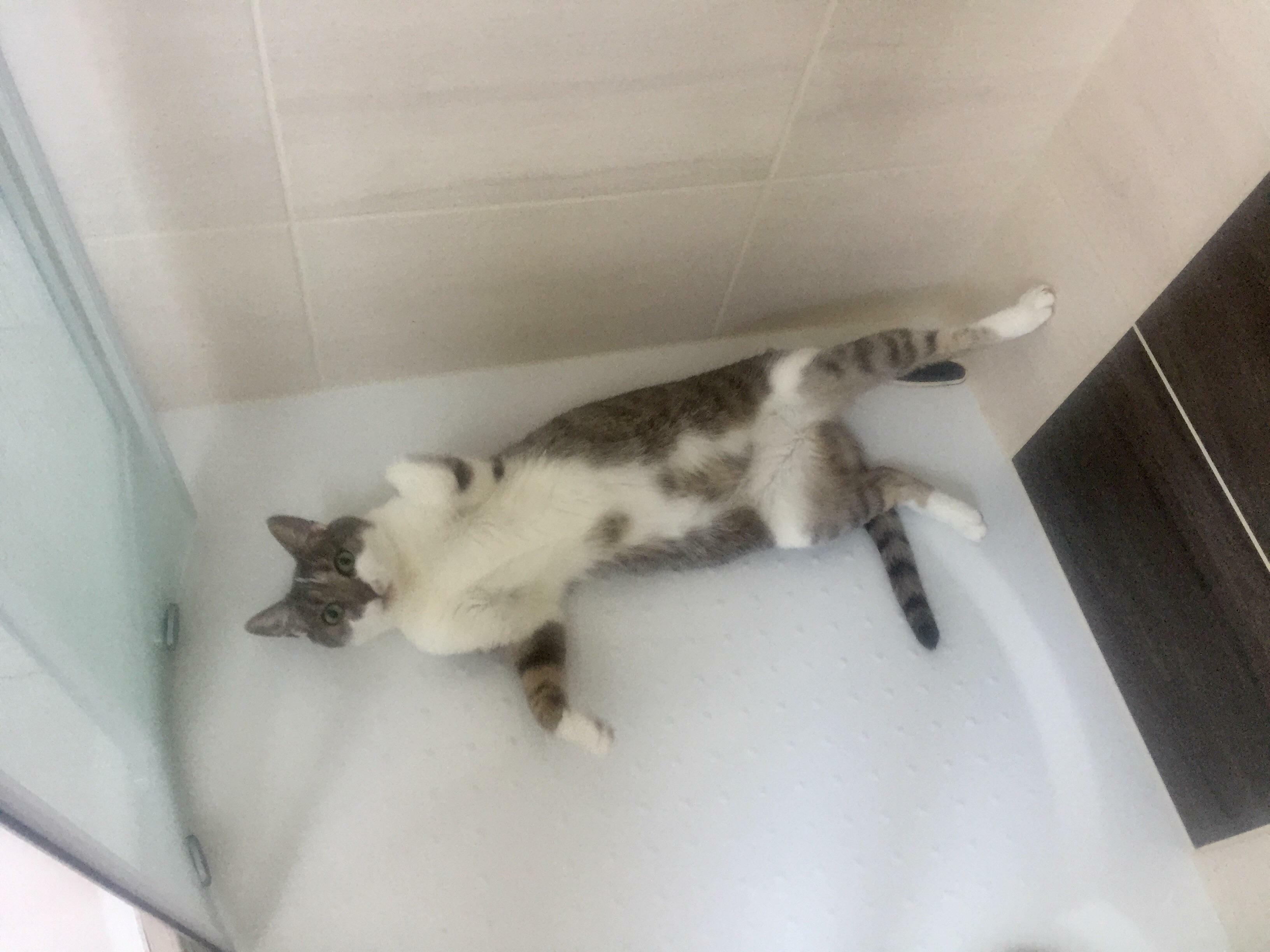 Walked In On Her In The Shower. Probably Should Have Knocked First