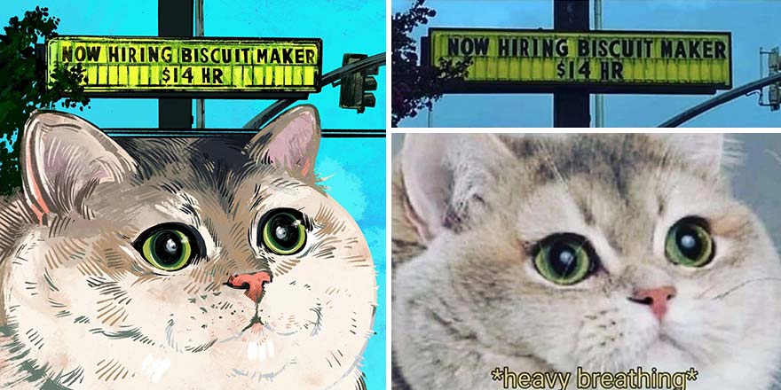 32 photos virales de chats illustrées par cet artiste (nouvelles photos)