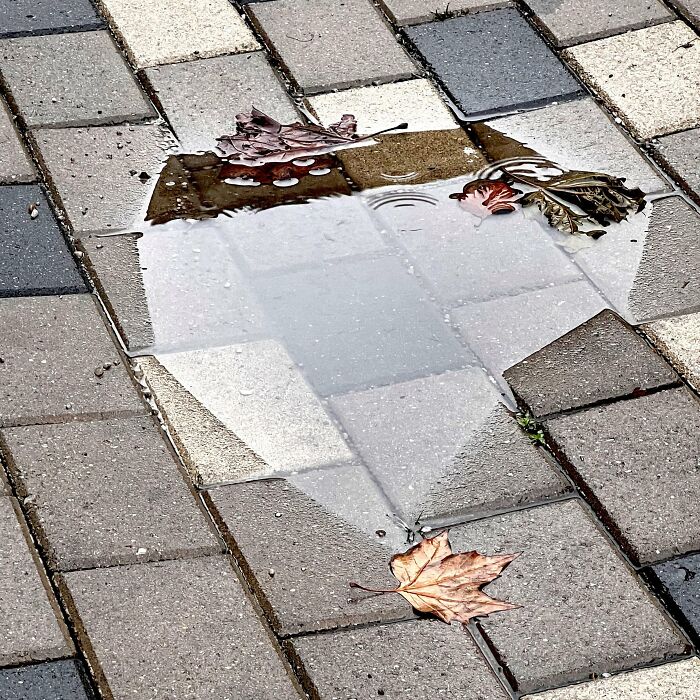 Puddle Didn’t Fully Render