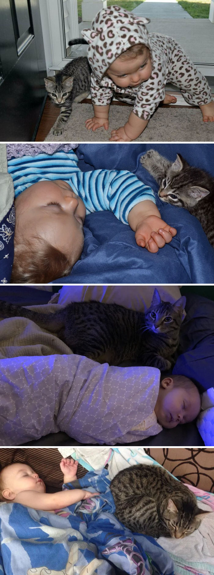 I Rescued Nuka And She’s Helped Nanny My Babies For 9 Years