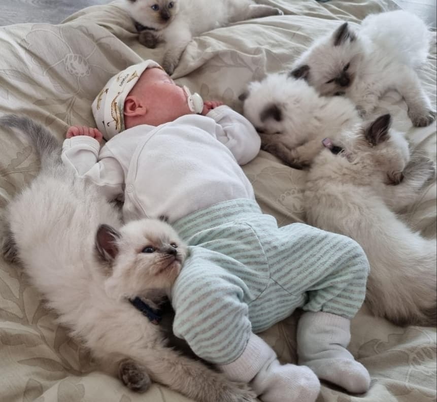 Have You Ever Seen Anything Sweeter?