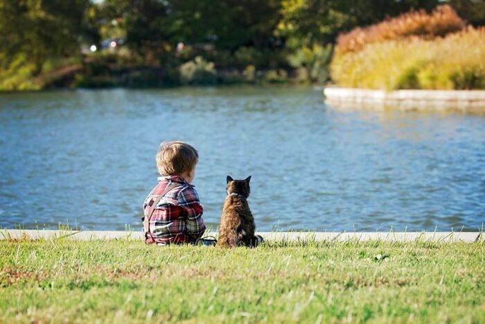 My Son Has Loved My Cat Since The Day He Was Born. She Tolerates That Love In A Way I Never Thought Possible