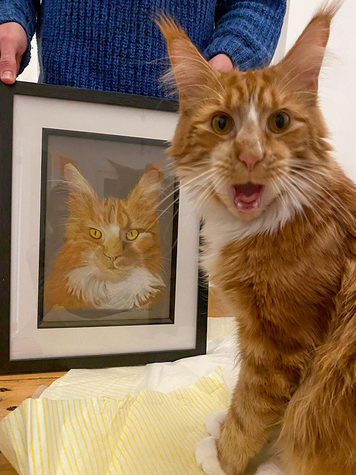 Aujourd’hui, c’est le premier anniversaire de mon chaton. Ma mère lui a offert cette peinture et il a été très surpris.