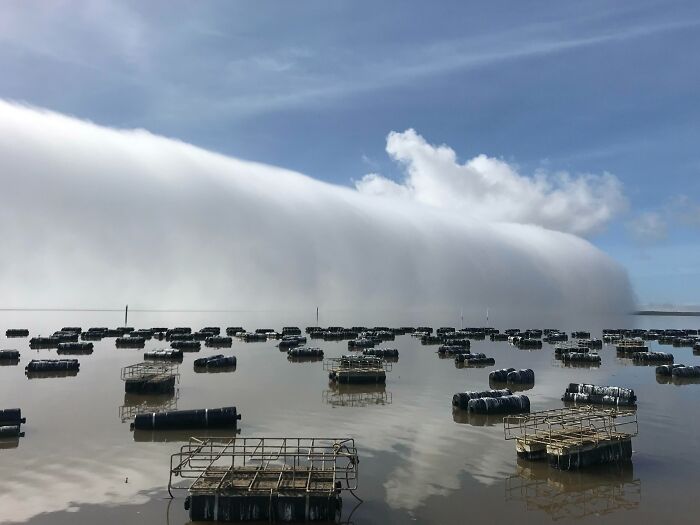 This Wall Of Fog Rolling In At My Work