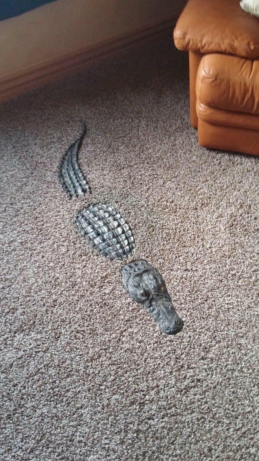 l’extension du tapis en crocodile