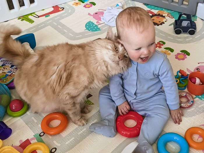 My Baby Is My Cat’s Most Favorite Human