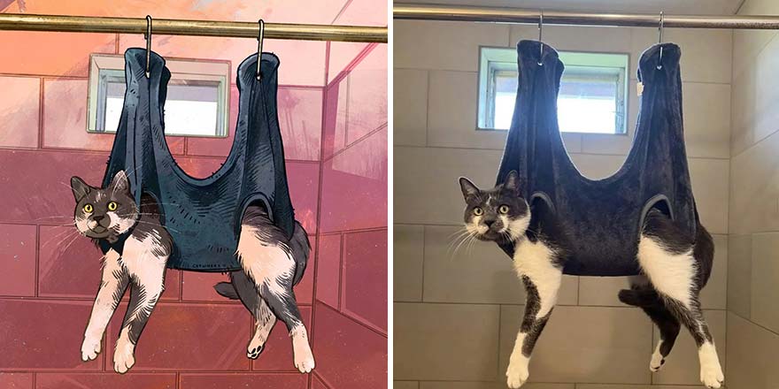 32 photos virales de chats illustrées par cet artiste (nouvelles photos)