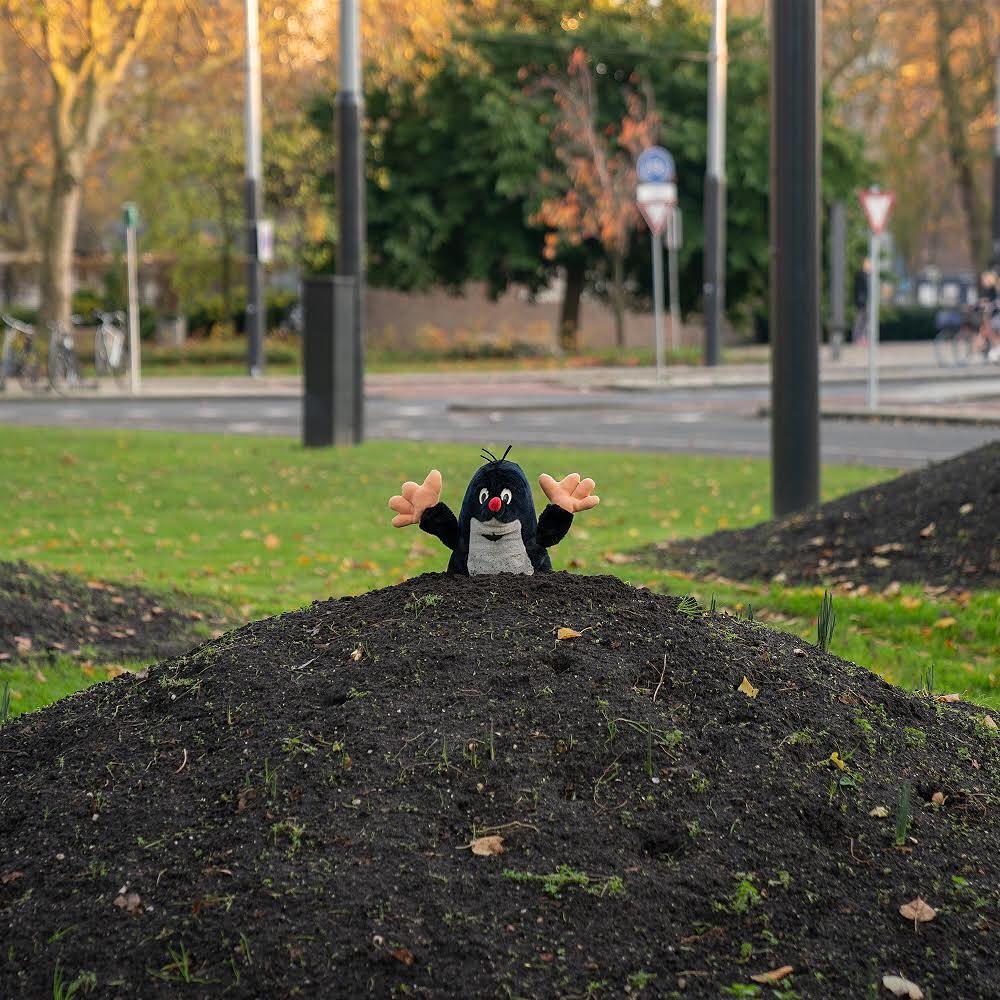 « je fais des interventions pour faire sourire les gens » : 80 interprétations astucieuses des espaces publics par le street art de frankey