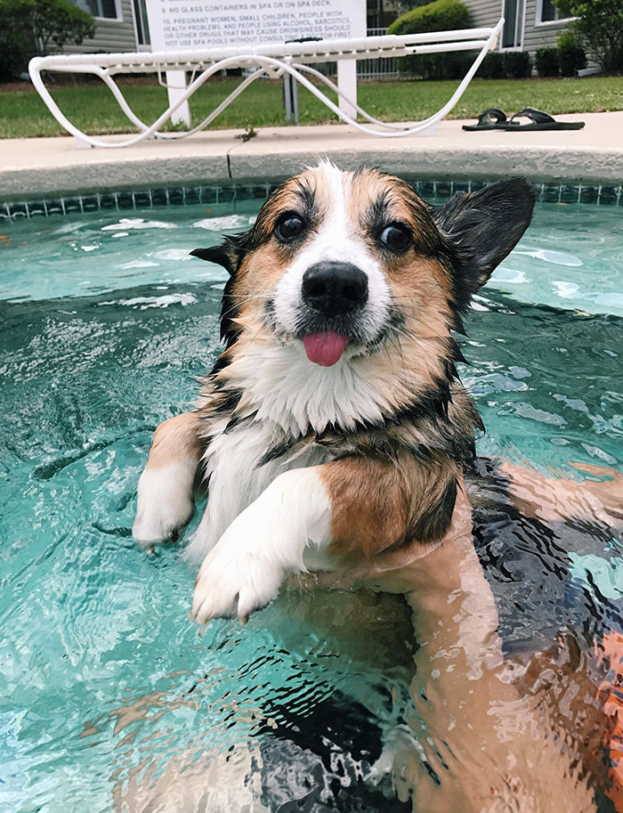 rudy est allée se baigner pour la toute première fois