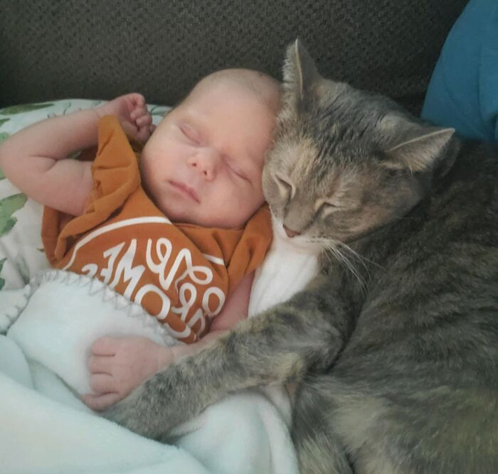 My Wife Just Sent Me This Picture Of Our Daughter And Cat. I’m Crying At Work
