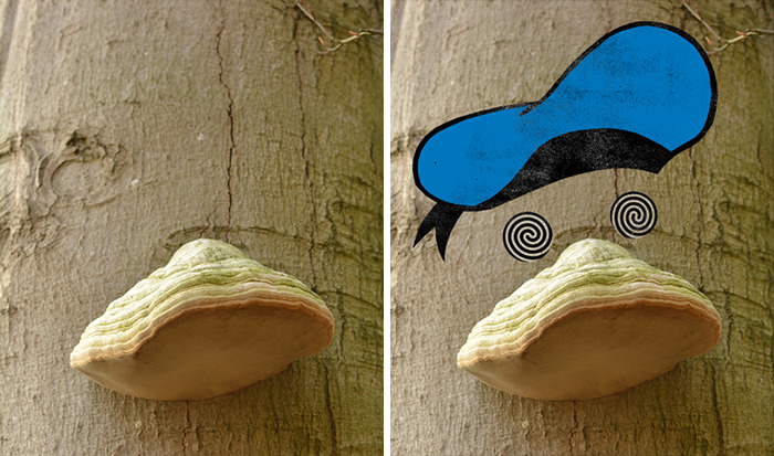 Un illustrateur créatif donne vie aux objets quotidiens de la rue (70 images)