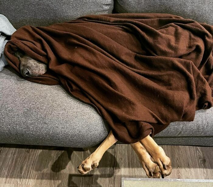 l’heure de la sieste