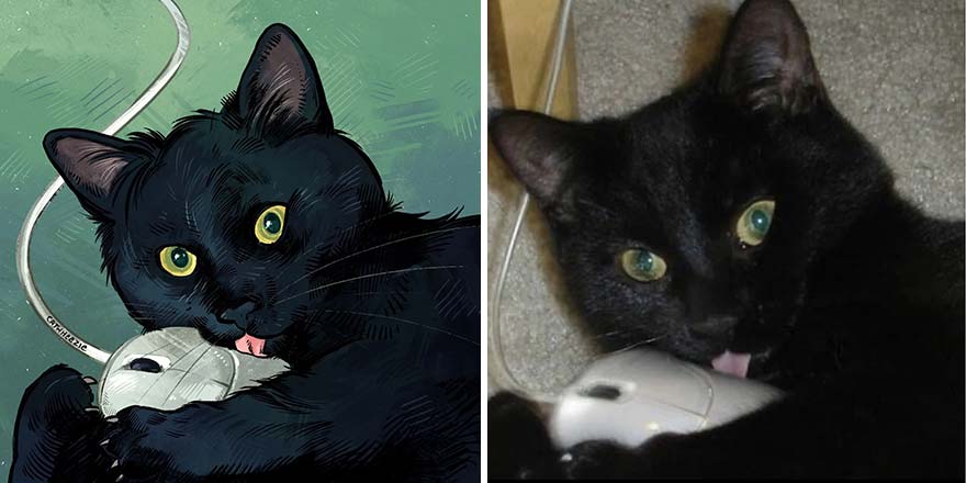 32 photos virales de chats illustrées par cet artiste (nouvelles photos)