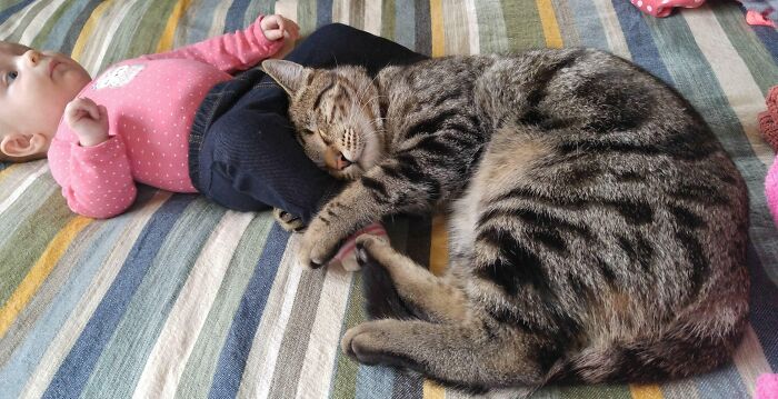 Been Keeping The Cat Away From The Baby So Far But Decided To Let Him Get Close And See What He Would Do