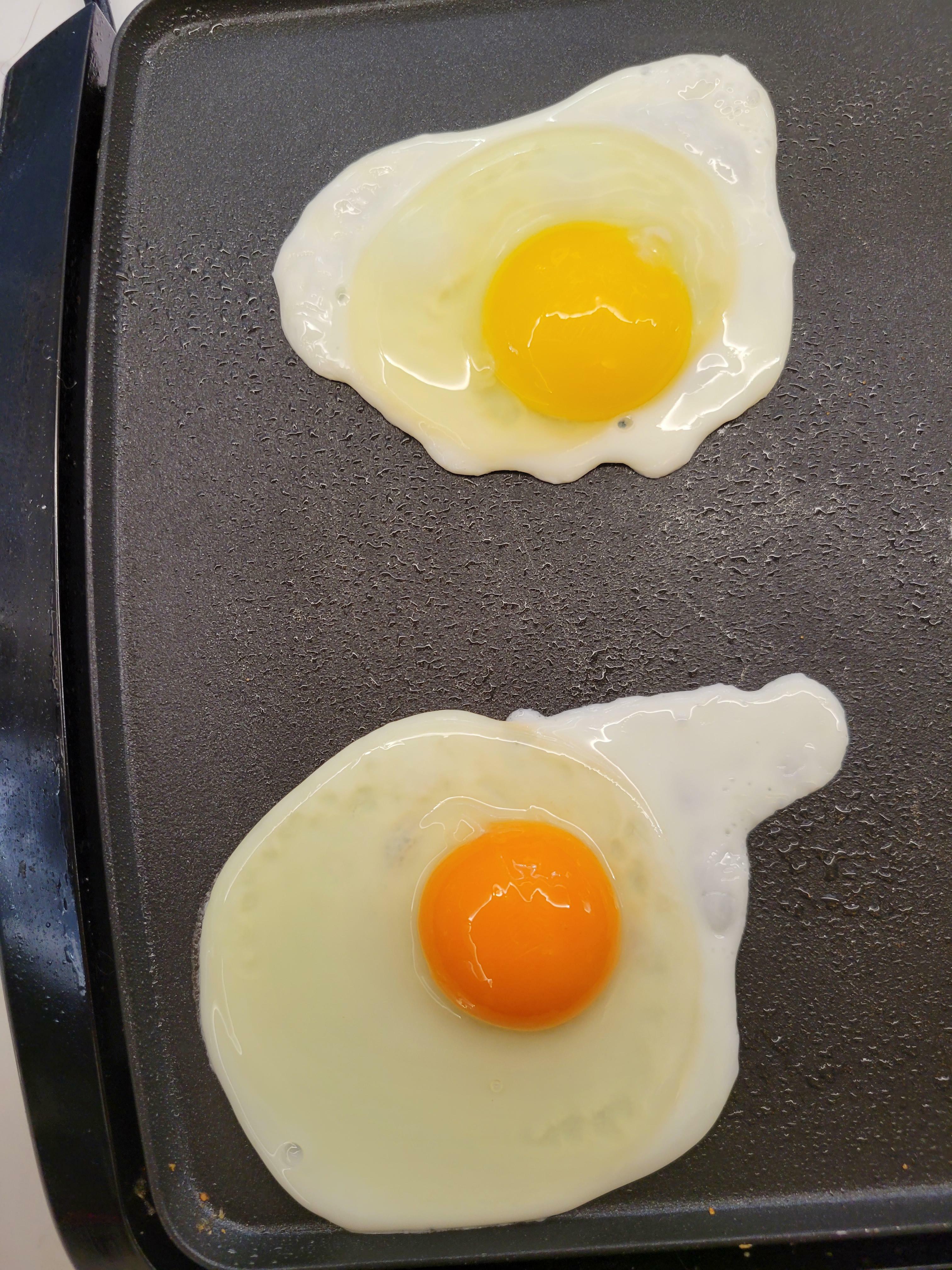 un œuf acheté sur un marché de producteurs (en bas) comparé à un œuf acheté en magasin