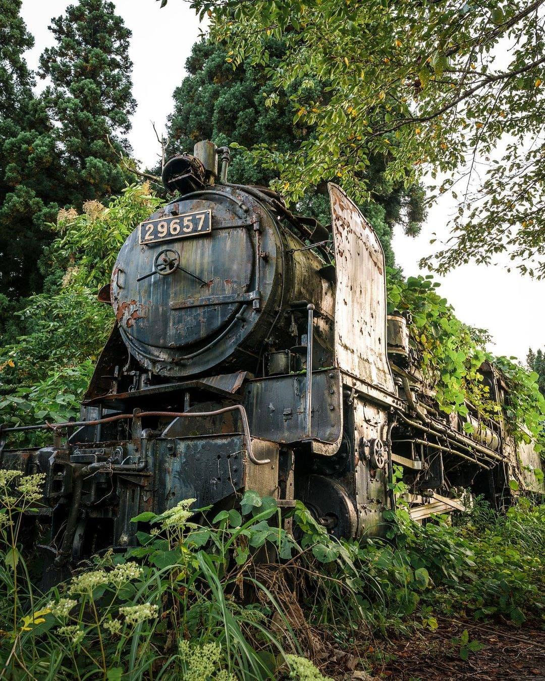 vieux train express abandonné pris par la nature