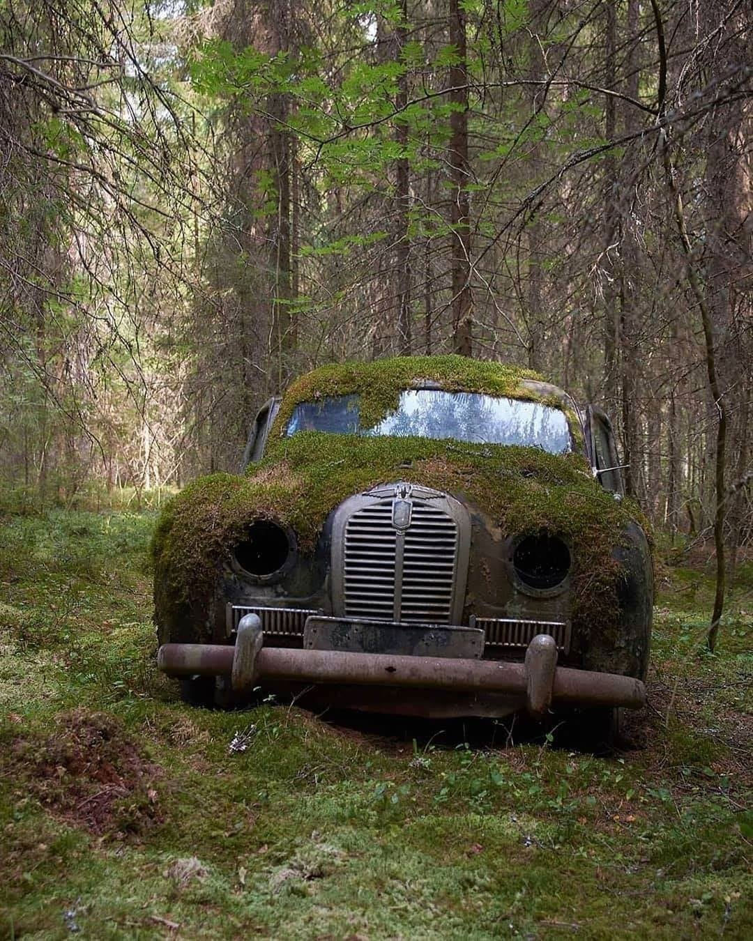 voiture moussue dans les bois, finlande