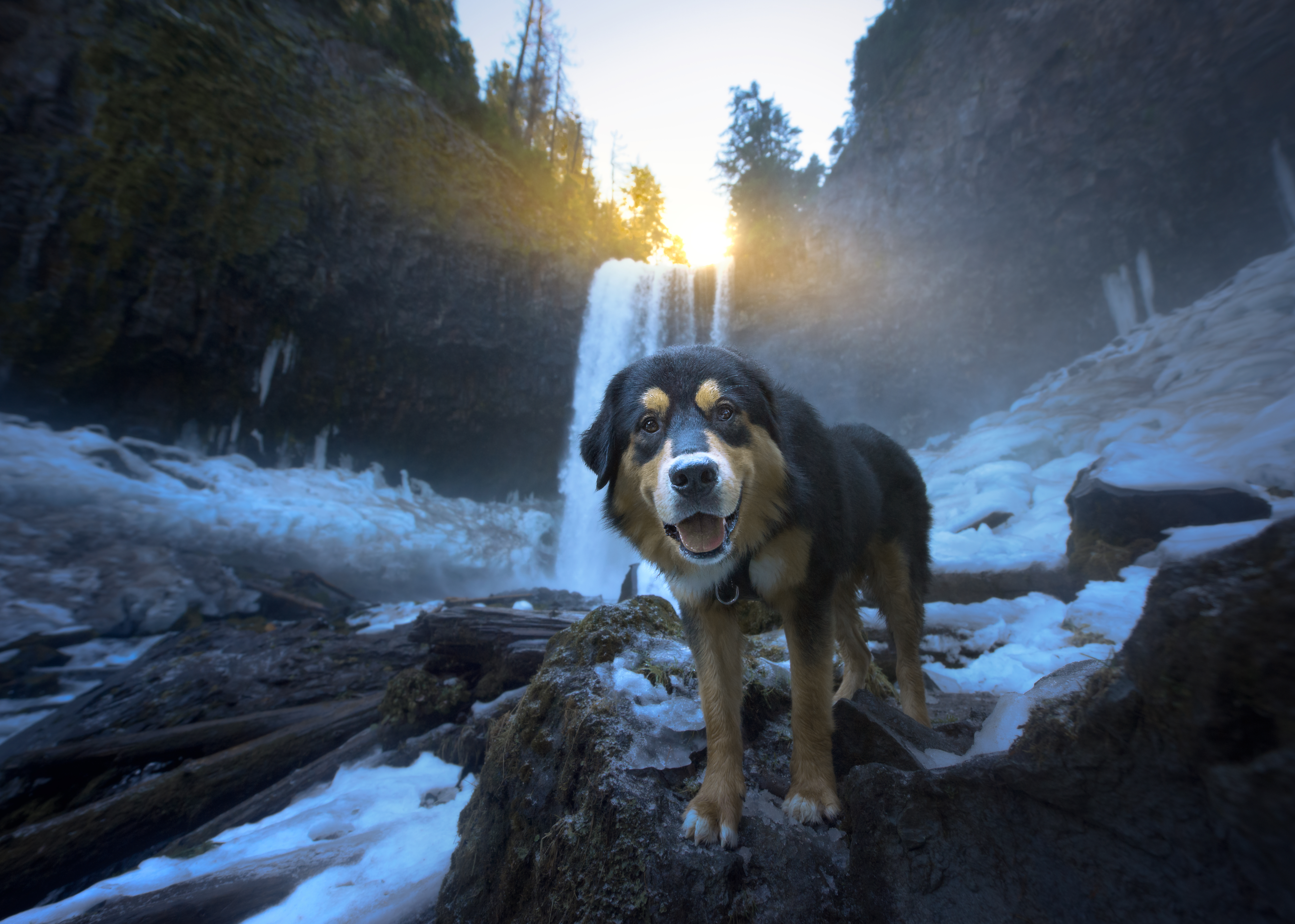 I Took A Picture Of My Best Bud And Favorite Waterfall