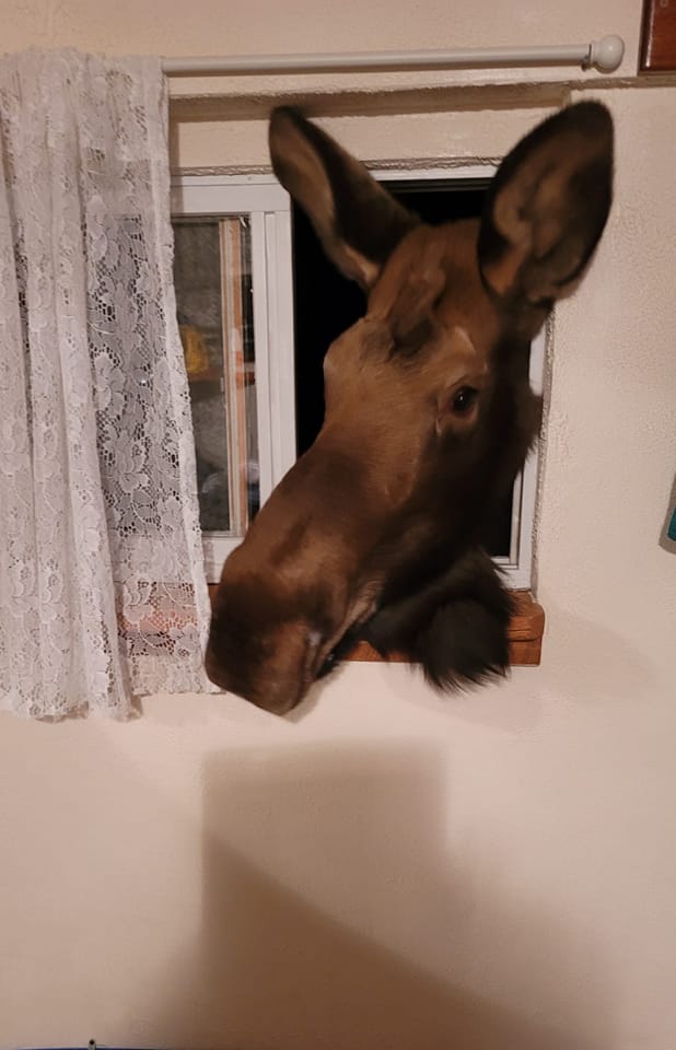 Just Watching Me In My Bathroom. Homer, Alaska