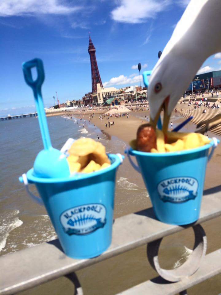 Accidentally Captured A Seagull Stealing My Food